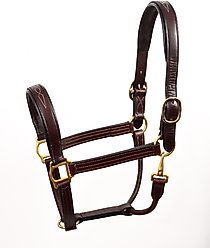 Perri's Leather Fancy Stitched Leather Padded Horse Halter, Havana, Cob