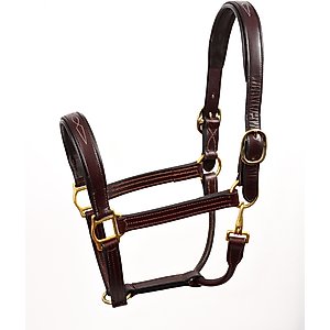 Perri's Leather Fancy Stitched Leather Padded Horse Halter, Havana, Horse