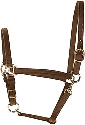 Perri's Leather 3/4-in No Snap Turnout Horse Halter, Havana, Weanling