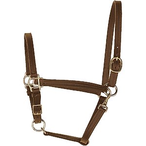 Perri's Leather 3/4-in No Snap Turnout Horse Halter, Havana, Weanling