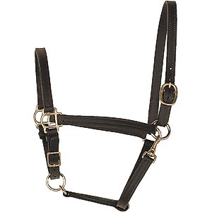 Perri's Leather 3/4-in Turnout Horse Halter, Black, Yearling