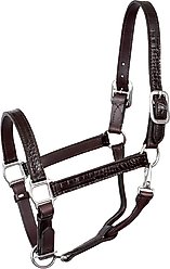 Perri's Leather English Croc Horse Halter, Black, Cob