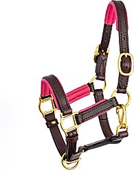 Perri's Leather 3/4-in Padded Horse Halter, Mini B, Havana/Pink