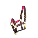 Perri's Leather 3/4-in Padded Horse Halter, Mini B, Havana/Pink