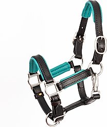 Perri's Leather 3/4-in Padded Horse Halter, Mini B, Black/Turquoise