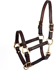 Perri's Leather 5/8-in Turnout Horse Halter, Havana, Mini B