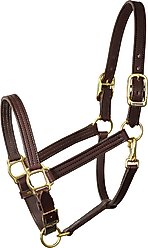 Perri's Leather 1-in Turnout Horse Halter, Havana, Yearling