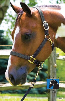 Show full view: Perri's Leather 1-in Turnout Horse Halter, Black, Cob slide 3 of 4