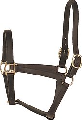 Perri's Leather 1-in Track Turnout Horse Halter, Havana, Yearling