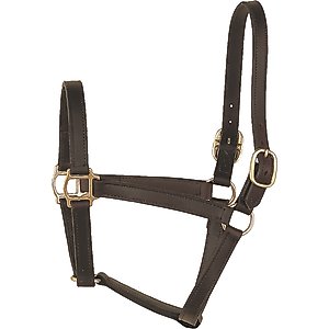 Perri's Leather 1-in Track Turnout Horse Halter, Havana, Horse