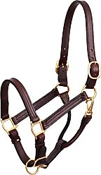 Perri's Leather 1-in Show Horse Halter, Havana, Yearling