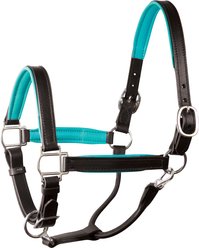 Perri's Leather Stainless Steel Hardware 1-in Padded Horse Halter, Black/Turquoise, Horse