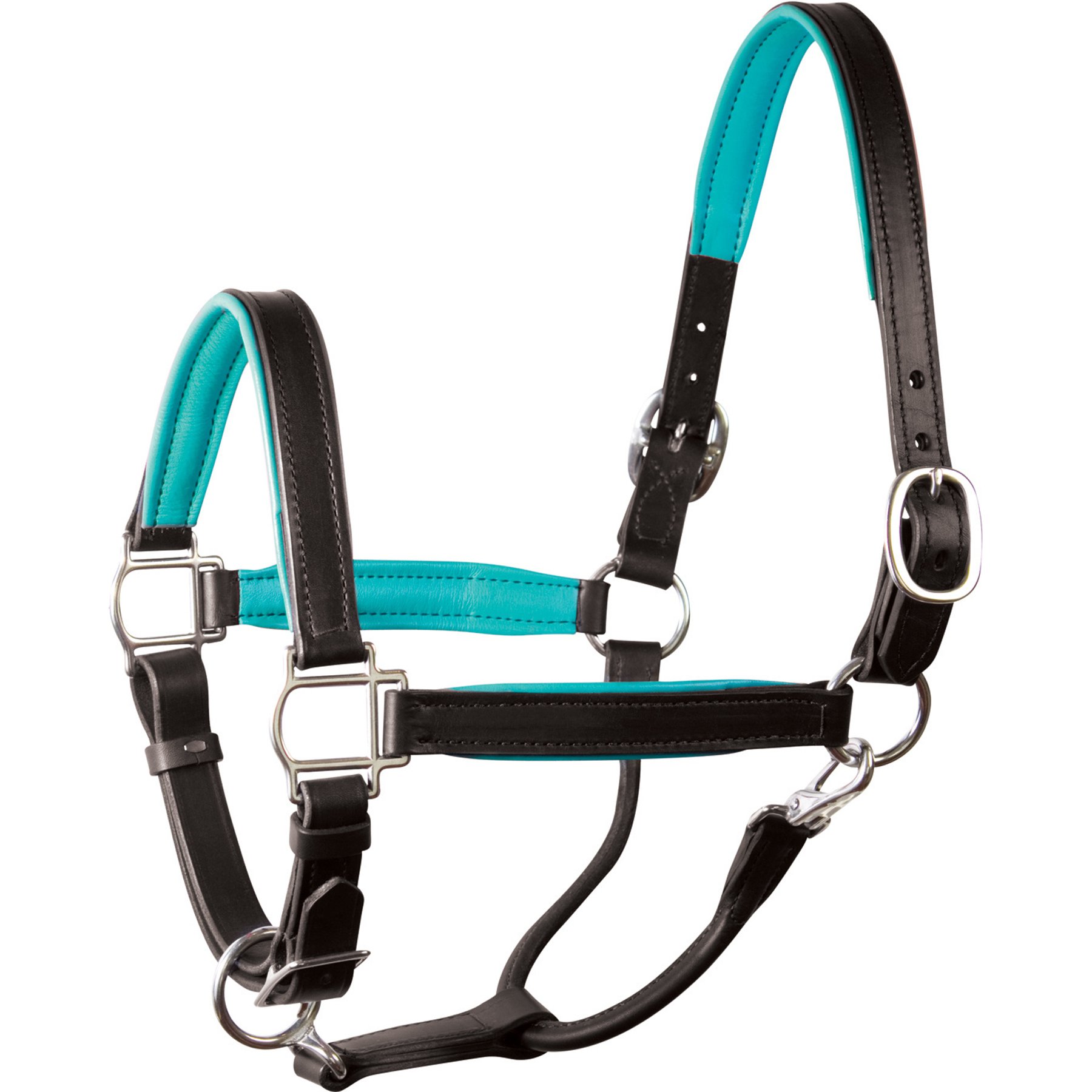 Perri's Leather Stainless Steel Hardware 1-in Padded Horse Halter, Black/Turquoise, Cob