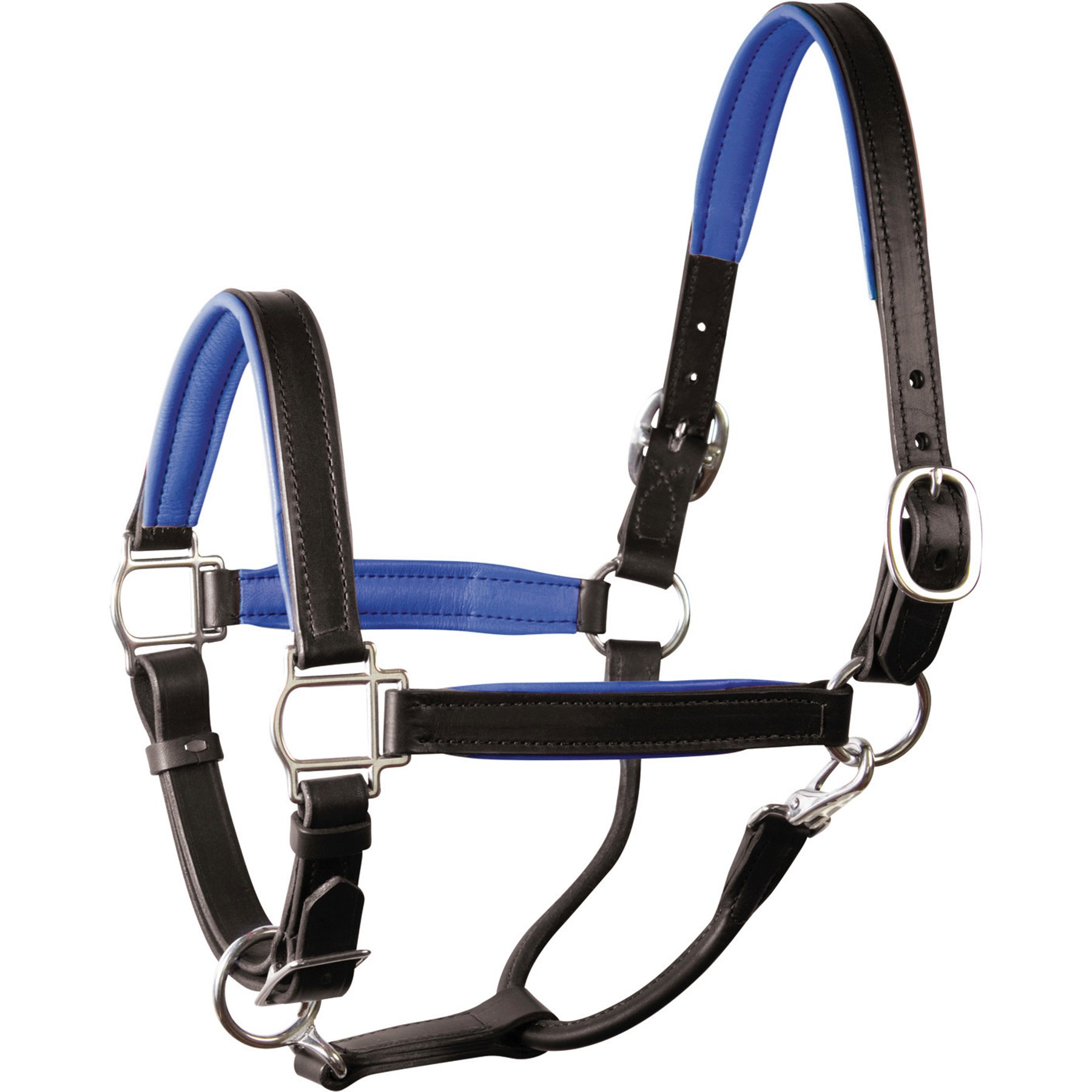 Perri's Leather Stainless Steel Hardware 1-in Padded Horse Halter, Black/Blue, Horse
