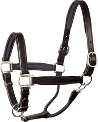 Perri's Leather Stainless Steel Hardware 1-in Padded Horse Halter, Black/Black, Cob