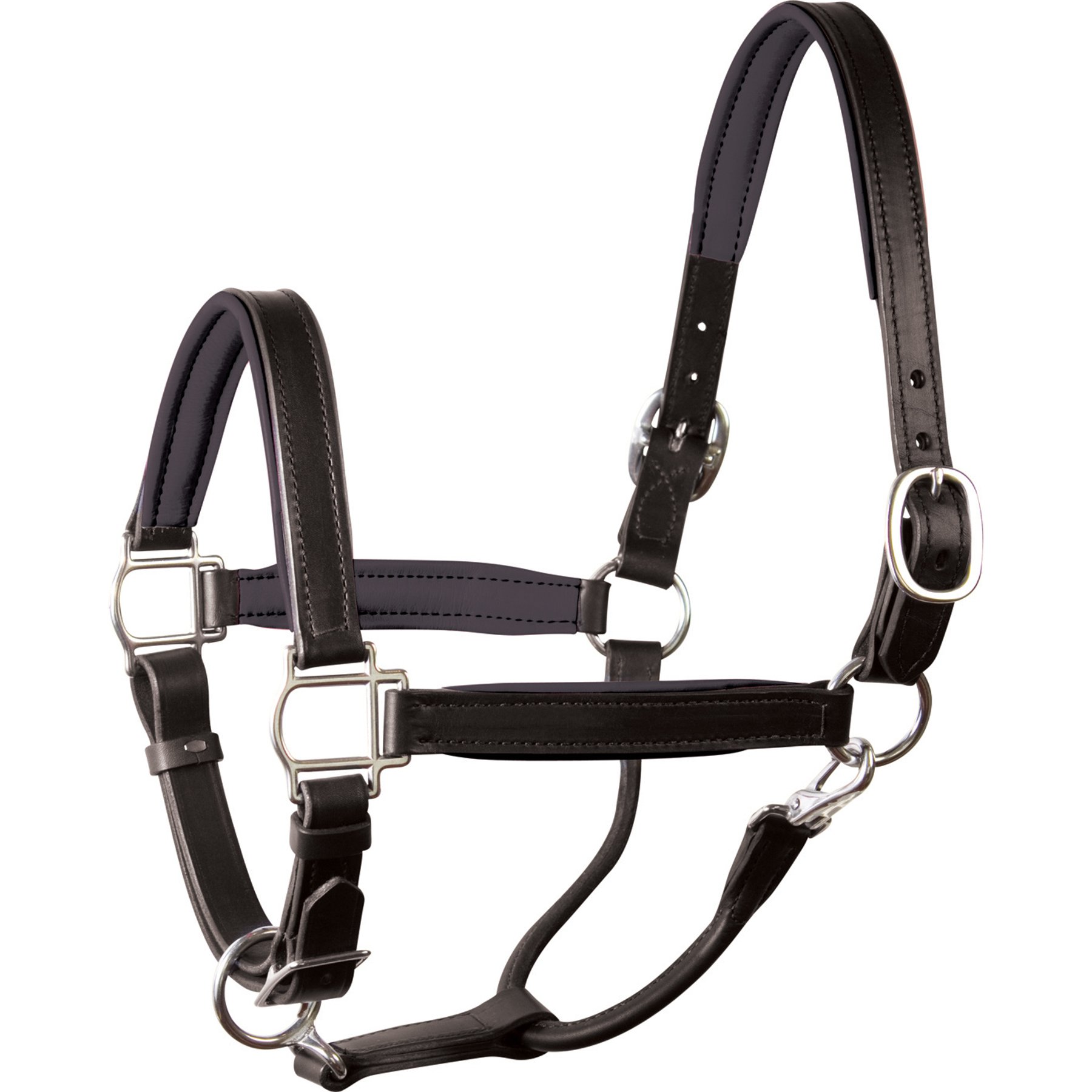 Perri's Leather Stainless Steel Hardware 1-in Padded Horse Halter, Black/Black, Oversize