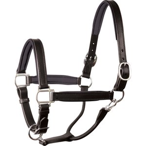 Perri's Leather Stainless Steel Hardware 1-in Padded Horse Halter, Black/Black, Horse
