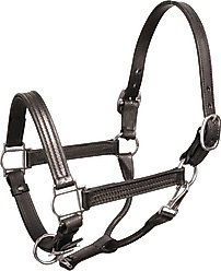 Perri's Leather Stainless Steel Hardware 1-in Show Horse Halter, Black, Cob slide 1 of 2