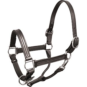 Perri's Leather Stainless Steel Hardware 1-in Show Horse Halter, Black, Cob