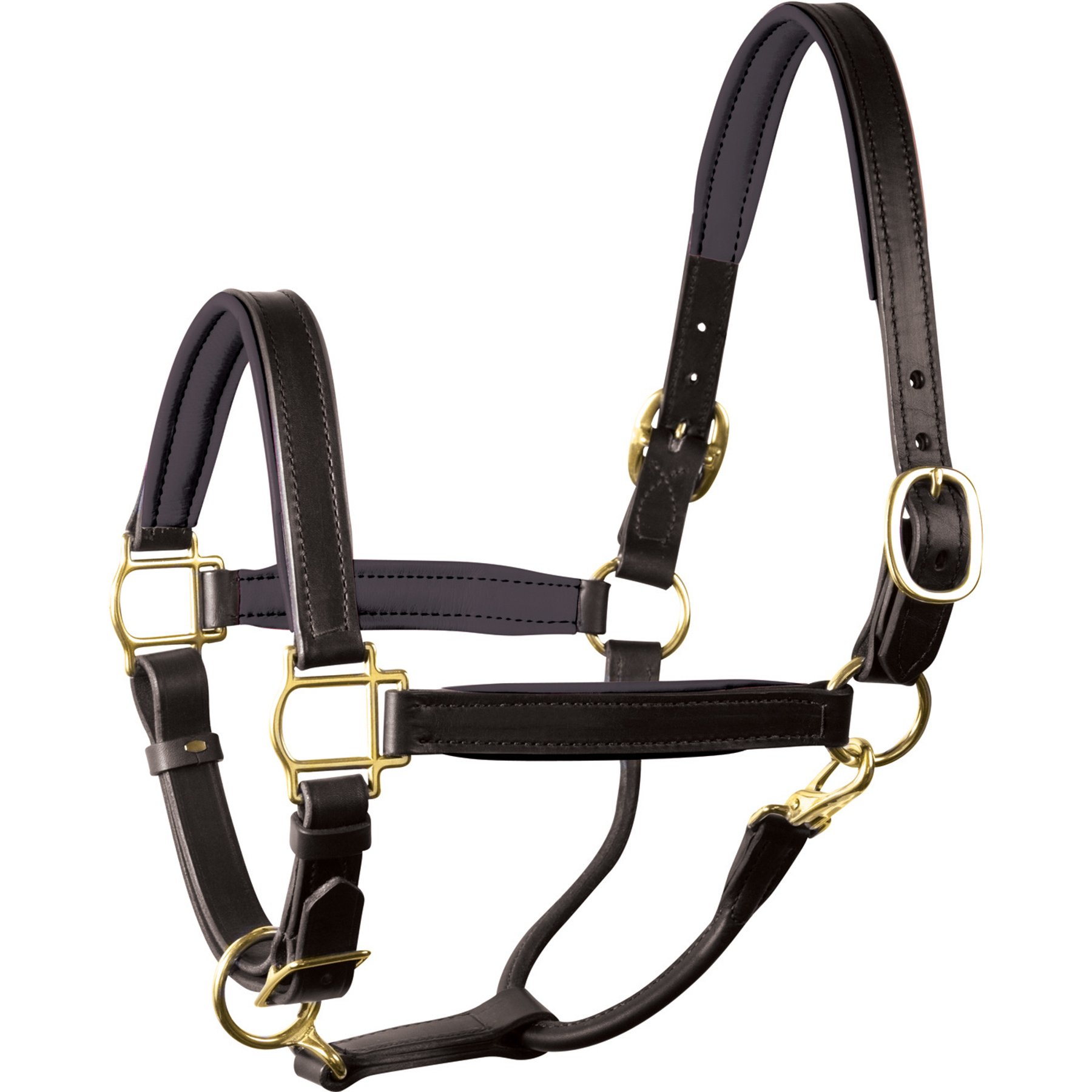 Perri's Leather Brass Hardware 1-in Padded Horse Halter, Black/Black, Horse
