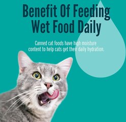 A Strong Heart Chicken & Tuna Dinner Paté Wet Cat Food, 5.5-oz, case of 24 slide 2 of 7