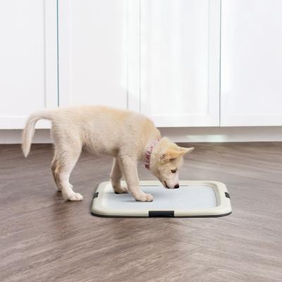 Show full view: IRIS Potty Training Dog Pee Pads, 22 x 22-in, 100 Count, Unscented slide 10 of 11