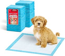 IRIS Potty Training Dog Pee Pads, 22 x 22-in, 100 Count, Unscented
