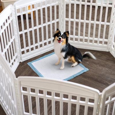 Show full view: IRIS Potty Training Dog Pee Pads, 22 x 22-in, 100 Count, Unscented slide 9 of 11