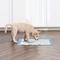 Show in main carousel: IRIS Potty Training Dog Pee Pads, 22 x 22-in, 100 Count, Unscented slide 7 of 11