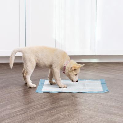 Show full view: IRIS Potty Training Dog Pee Pads, 22 x 22-in, 100 Count, Unscented slide 7 of 11