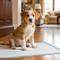 Show in main carousel: IRIS Potty Training Dog Pee Pads, 22 x 22-in, 100 Count, Unscented slide 6 of 11