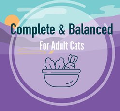 A Strong Heart Grilled Chicken Dinner in Gravy Wet Cat Food, 3-oz, case of 24 slide 2 of 9