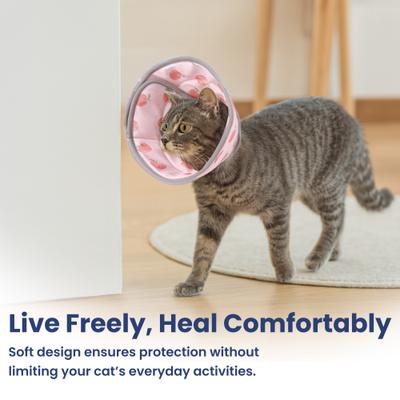 Show full view: PawsPik Adjustable Dog & Cat Recovery Soft-Cone, Peach, Medium slide 9 of 10