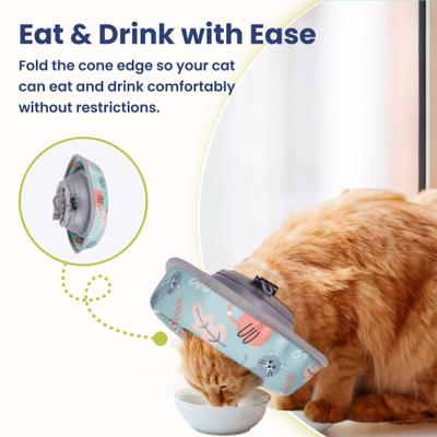 Show full view: PawsPik Adjustable Dog & Cat Recovery Soft-Cone, Light Blue, Large slide 6 of 11