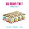 Show in main carousel: BFF Big Feline Feast Variety Pack Canned Cat Food, 10-oz, case of 12 slide 3 of 11