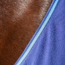 Equinavia Norse Fleece Horse Cooler, Skipper Blue/Clear Sky, 84-in slide 2 of 7