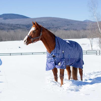 Show full view: Equinavia Arktis Extended Neck Turnout Sheet, Skipper Blue, 78-in slide 2 of 9