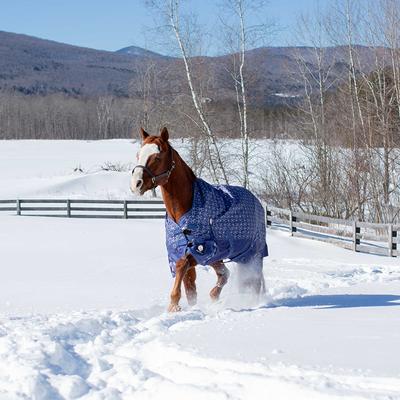 Show full view: Equinavia Arktis Extended Neck Turnout Sheet, Skipper Blue, 78-in slide 5 of 9