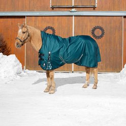 Equinavia Arktis Extended Neck Light Weight 100g Horse Turnout Blanket, Deep Green, 69-in slide 2 of 9