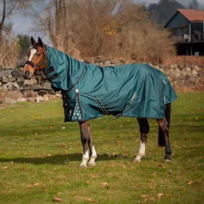 Show full view: Equinavia Arktis Regular Neck Midweight 200-g Horse Turnout Blanket, Deep Green, 78-in slide 2 of 9