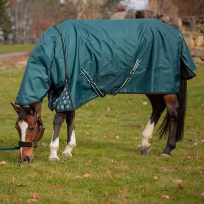 Show full view: Equinavia Arktis Regular Neck Midweight 200-g Horse Turnout Blanket, Deep Green, 78-in slide 4 of 9