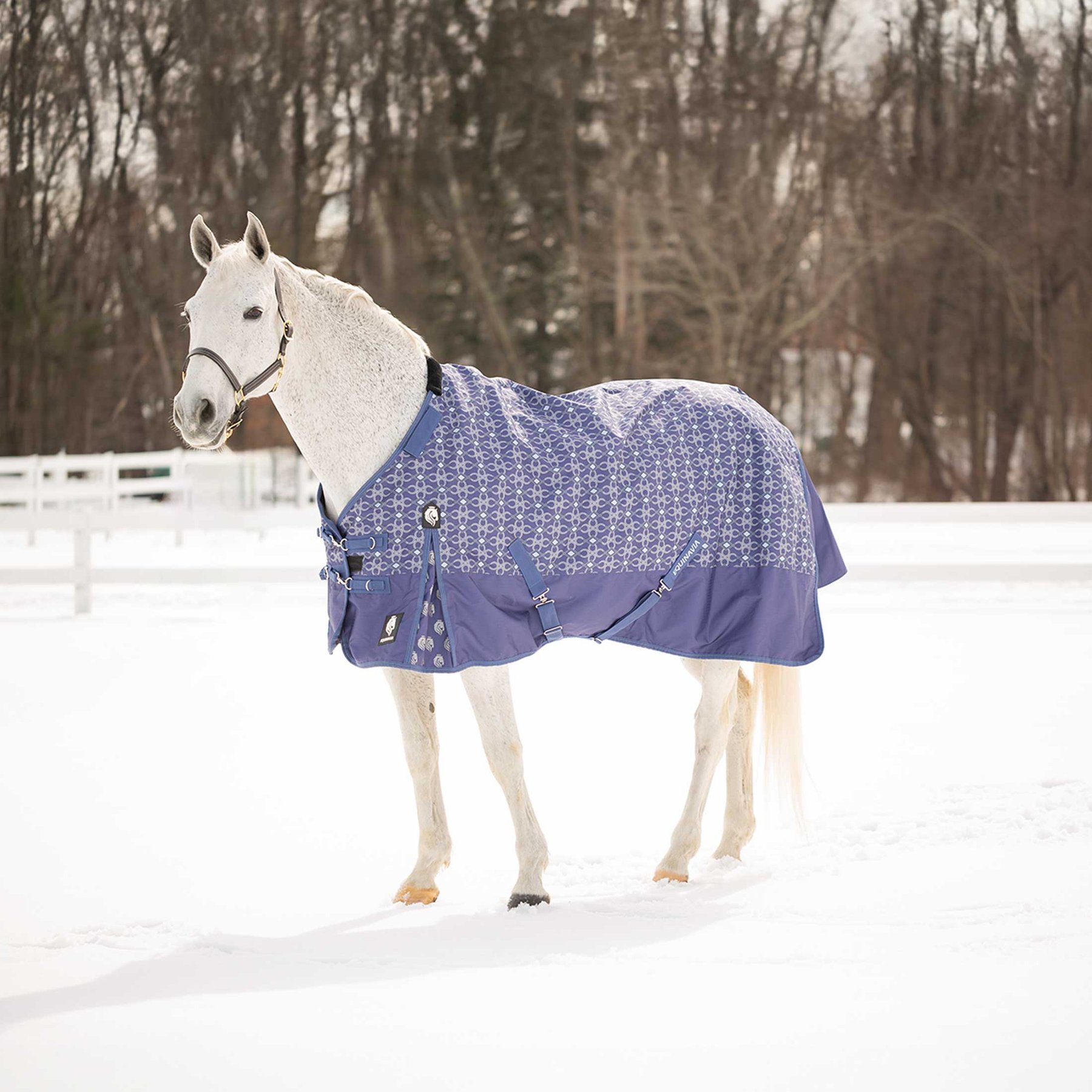 Equinavia Arktis Regular Neck Heavyweight 300-g Horse Turnout Blanket, Skipper Blue, 84-in