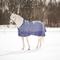 Show in main carousel: Equinavia Arktis Regular Neck Midweight 200-g Horse Turnout Blanket, Skipper Blue, 84-in slide 2 of 9