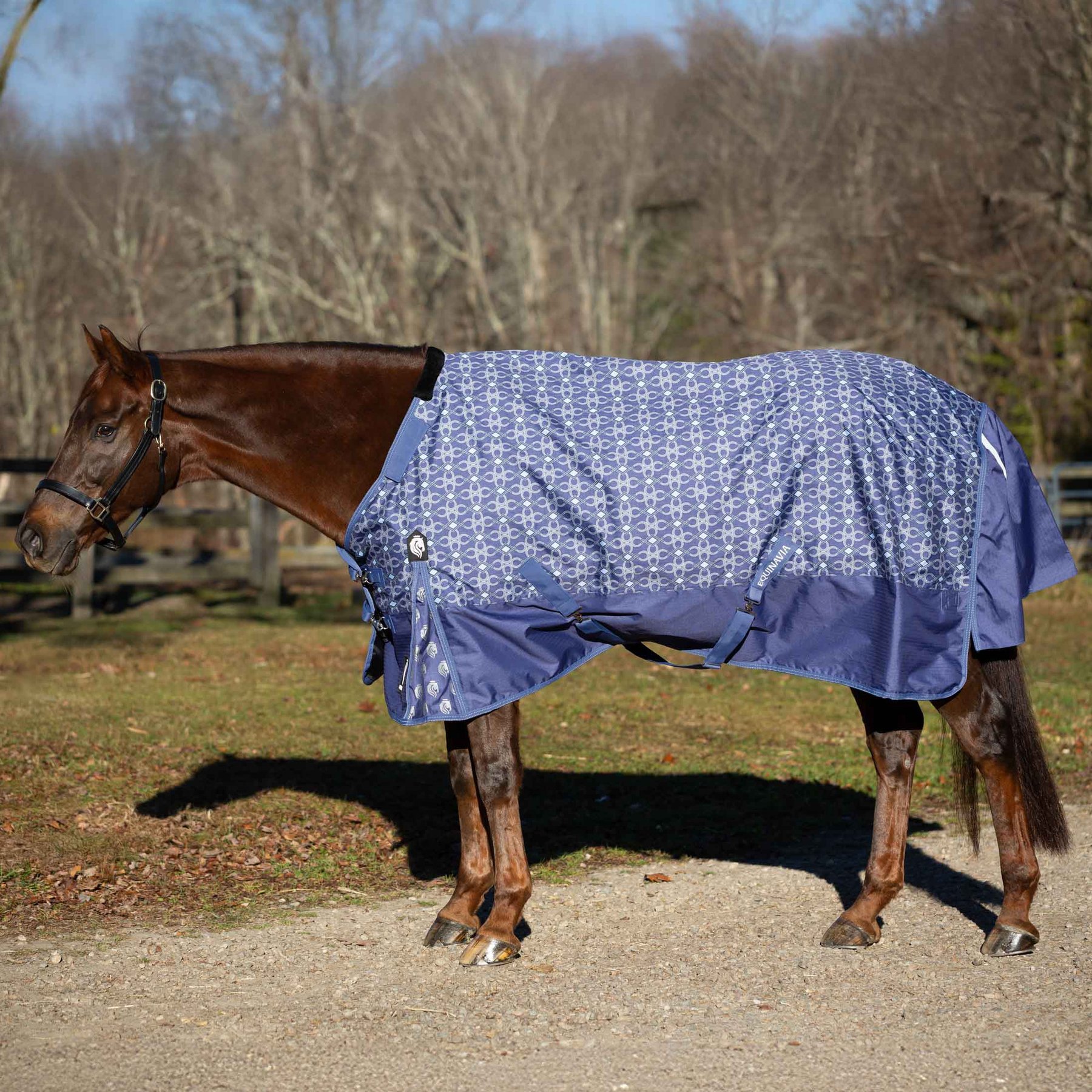 Equinavia Arktis Regular Neck Horse Turnout Sheet, Skipper Blue, 75-in