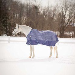 Equinavia Arktis Regular Neck Midweight 200-g Horse Turnout Blanket, Skipper Blue, 78-in