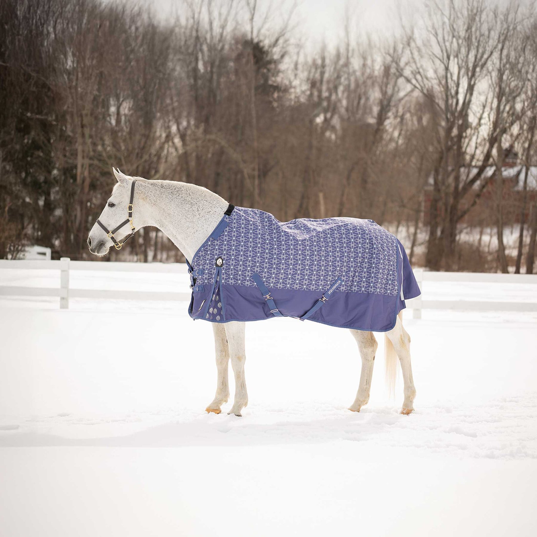 Equinavia Arktis Regular Neck Midweight 200-g Horse Turnout Blanket, Skipper Blue, 81-in
