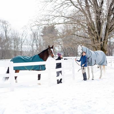 Show full view: Equinavia Arktis Regular Neck Light Weight 100g Horse Turnout Blanket, Deep Green, 84-in slide 4 of 9