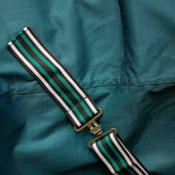 Equinavia Arktis Regular Neck Light Weight 100g Horse Turnout Blanket, Deep Green, 69-in slide 2 of 9