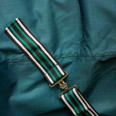 Show full view: Equinavia Arktis Regular Neck Light Weight 100g Horse Turnout Blanket, Deep Green, 84-in slide 9 of 9