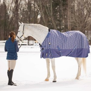 Equinavia Arktis Regular Neck Horse Turnout Sheet, Skipper Blue, 75-in